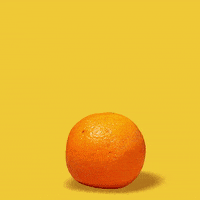 water bubbles GIF by Perrier