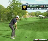 fan head GIF by SB Nation