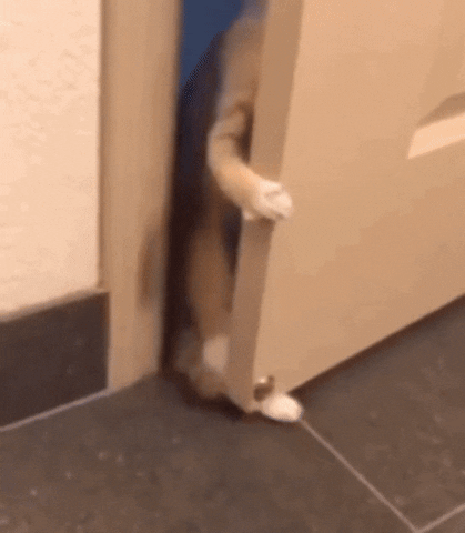 pespatronnumber1  GIF