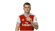 Premier League Epl Sticker by Arsenal