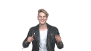 Vincent Gross Schlager Sticker by Ross Antony