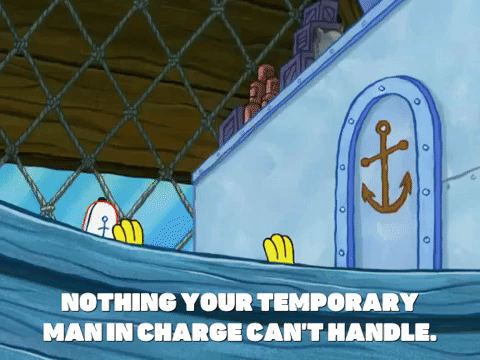 season 6 gullible pants GIF by SpongeBob SquarePants