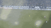 bundesliga rosicky GIF by Borussia Dortmund