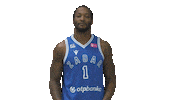 Basketball Player Sticker by KK Zadar