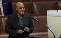 Ayanna Pressley Palestine GIF by GIPHY News