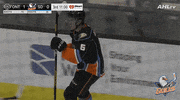 Lets Go Yes GIF by San Diego Gulls