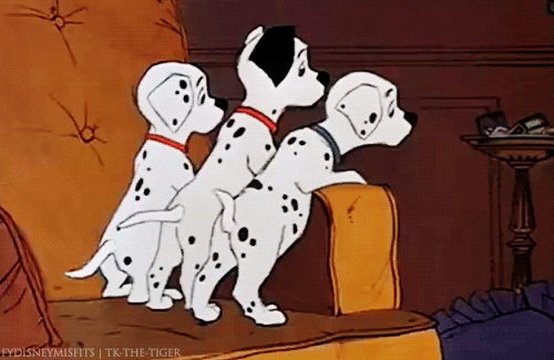101 dalmatians dog GIF