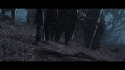 GIF by Giffffr