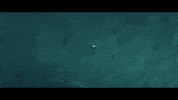lonely water GIF by nettwerkmusic