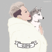 Miley Cyrus Faye Orlove GIF by gifnews