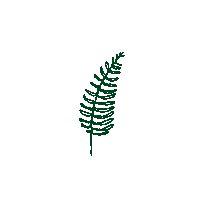 Illustration Plants Sticker by thefemaleexplorer