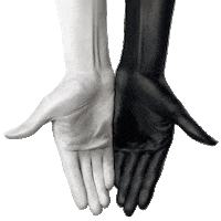 Espresso Premium Sticker by ama caffe