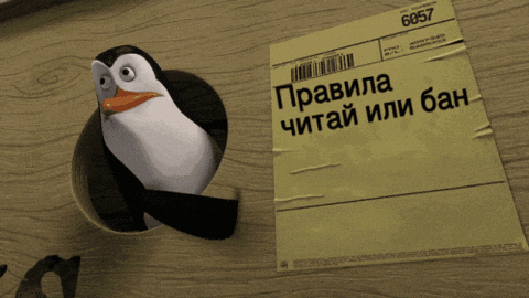slavikoff giphyupload GIF