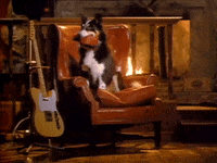 Got My Mind Set On You GIF by George Harrison