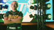 Softball Bison GIF by NDSU Athletics