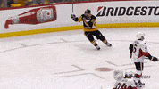 Ice Hockey Celebration GIF by NHL