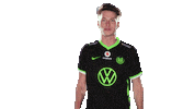 E Sports Sport Sticker by VfL Wolfsburg