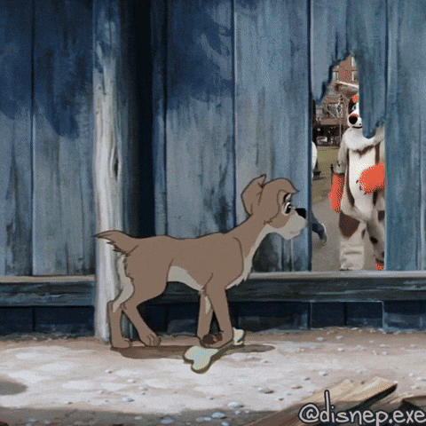 Dog GIF
