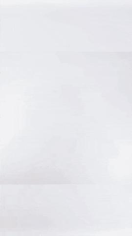 Team Usa GIF by U.S. Ski & Snowboard Team