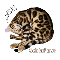 Sleepy Good Night Sticker by Kitty Fuchs