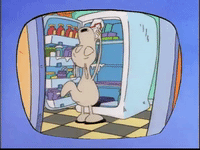 rockos modern life nicksplat GIF