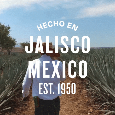 HornitosTequila tequila agave hornitos tequila hecho en jalisco mexico GIF