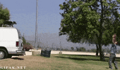 dog comments GIF