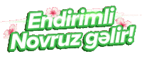 Novruz Semeni Sticker by Araz Supermarket