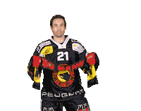 Moser Simonmoser Sticker by SC Bern