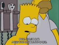 Season 6 Summer GIF by The Simpsons