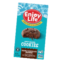 Chocolate Snack Sticker by Enjoy Life Foods