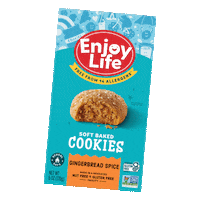 Snack Dessert Sticker by Enjoy Life Foods