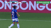 Serie B Cruzeiro GIF by Canal Premiere