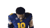 Ncaa Football Go Bears Sticker by Cal Athletics