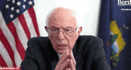 Bernie Sanders GIF by Election 2020