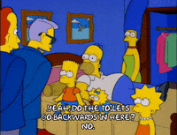 homer simpson GIF