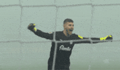 Goal Bundesliga GIF by Holstein Kiel
