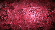 Youtube Love GIF by xponentialdesign