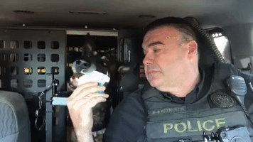 Retiring Police K-9 Eats Ice Cream