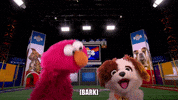 Animal Planet GIF by Puppy Bowl