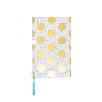 Start Today Journal Sticker by The Hollis Company