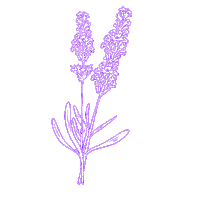 Lemon Lavender Sticker by Nature's Grace and Wellness