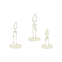 Bloomwellness Sticker by Park Creative Co