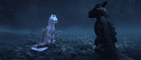 Got To Go Dragons GIF by How To Train Your Dragon