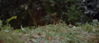 return of the jedi episode 6 GIF by Star Wars