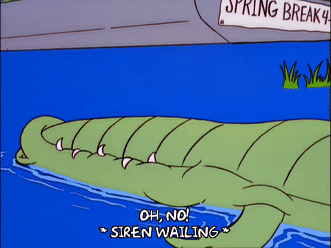homer simpson GIF