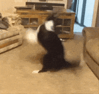 Redfinapproved GIF by Rocket Mortgage