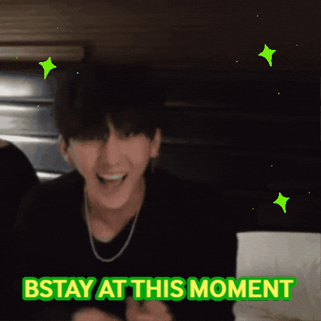 Stray Kids Skz GIF