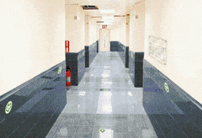 gid GIF