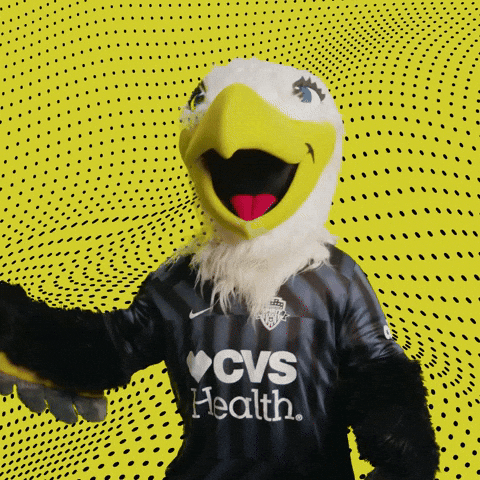 Happy Go Team GIF by Washington Spirit